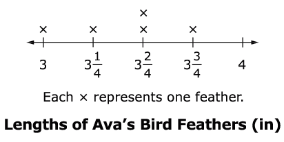 Line plot titled Lengths of Ava’s Bird Feathers (in). It shows one feather at 3 inches, one at 3 1/4 inches, two at 3 2/4 inches, and one at 3 3/4 inches.